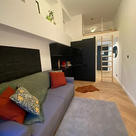 105 B - Tres Beau Studio Avec Mezzanine Refait A Neuf Hyper Centre/ac 公寓 *